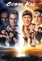 Cobra Kai 6. Sezon Poster