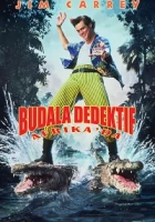 Budala Dedektif 2: Afrika'da 1995 Poster