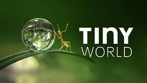 Tiny World 1. Sezon 5. Bölüm Banner