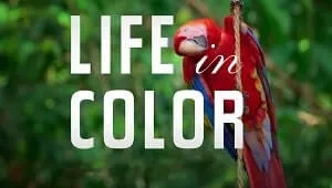 Life in Colour 1. Sezon 1. Bölüm Banner