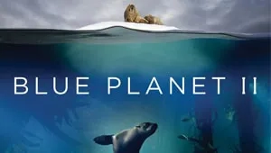 Blue Planet II 1. Sezon 5. Bölüm Banner