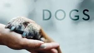 Dogs 2. Sezon 3. Bölüm Banner