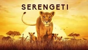 Serengeti 1. Sezon 6. Bölüm Banner