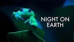 Night on Earth 1. Sezon 2. Bölüm Banner