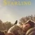 The Starling Small Poster