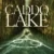 Caddo Lake Small Poster